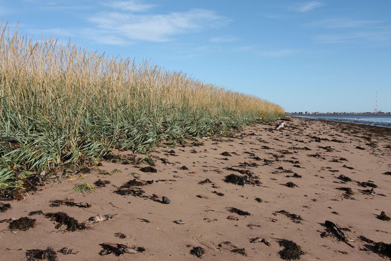 Кашкаранцы, image of landscape/habitat.