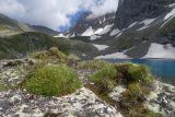 Image of landscape