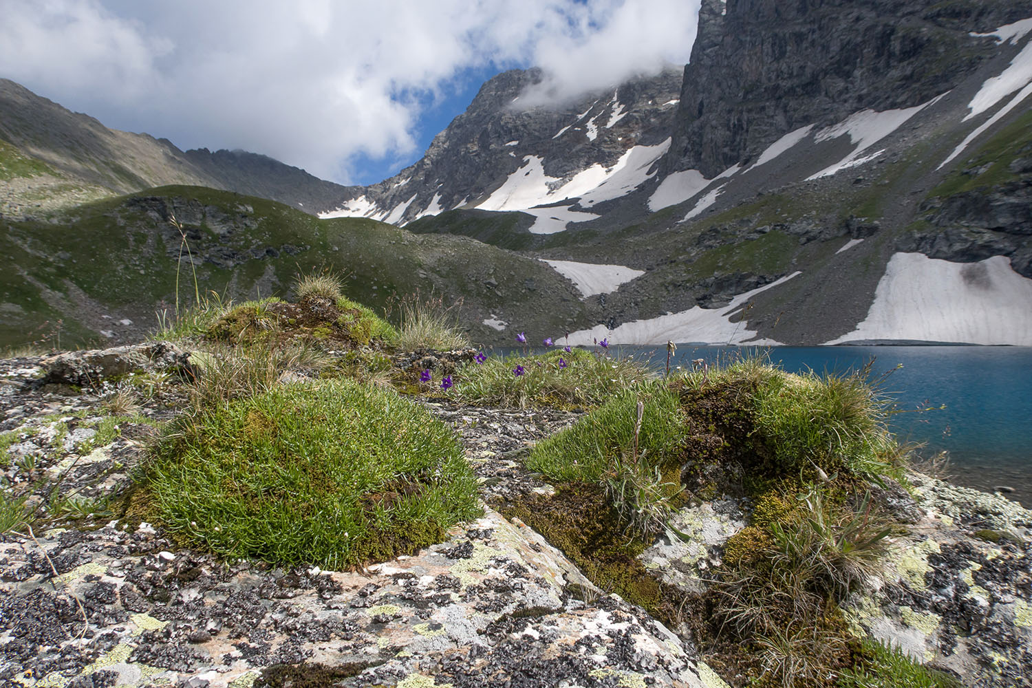 Озеро Тихое, image of landscape/habitat.