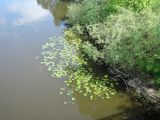 Image of landscape