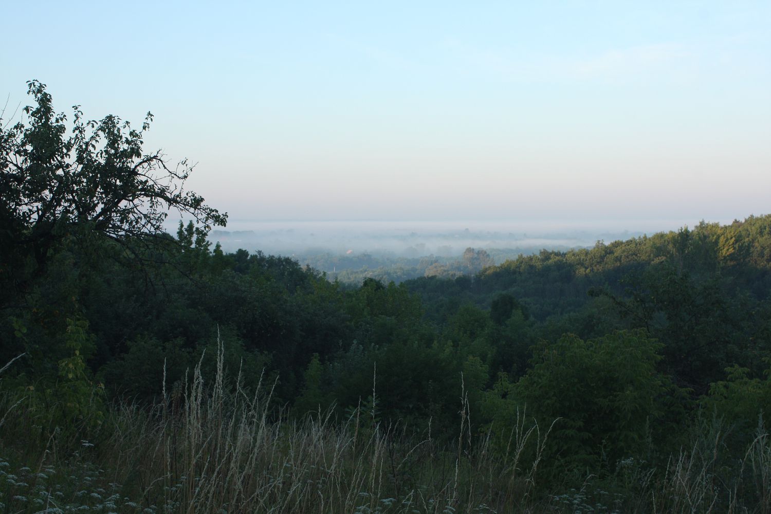 Окрестности Борисовки, image of landscape/habitat.