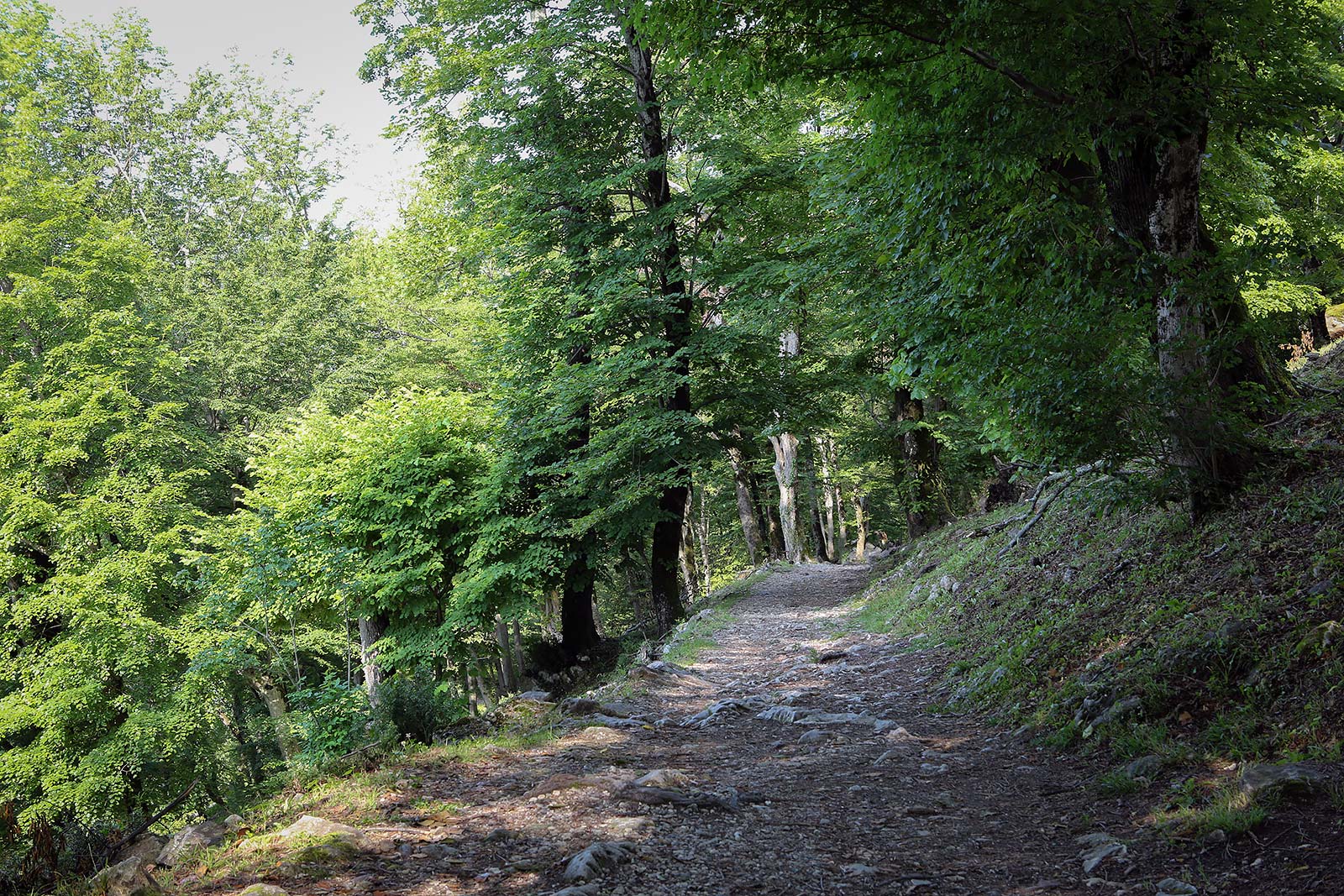 Иверская гора, image of landscape/habitat.