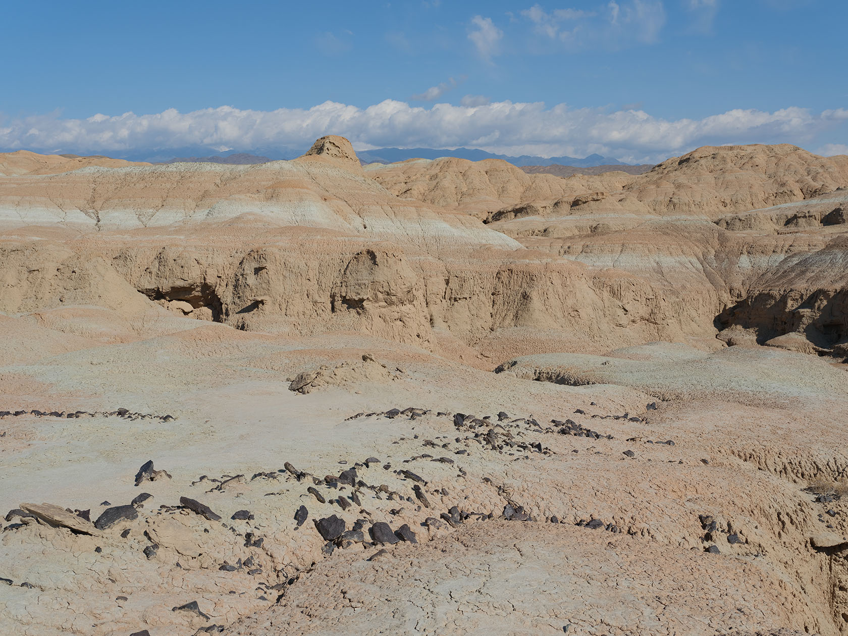 Горы Сырт, image of landscape/habitat.