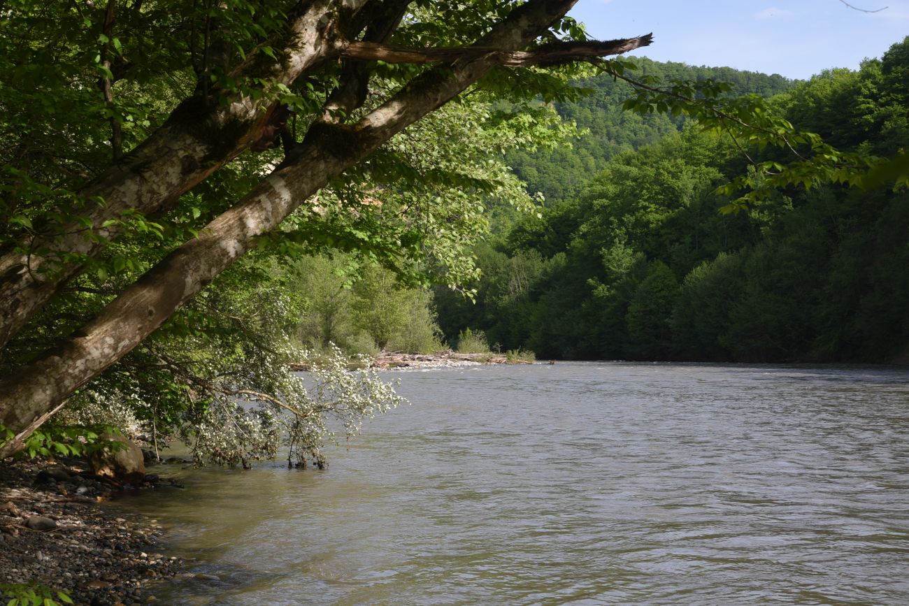 Урочище Бокши, image of landscape/habitat.