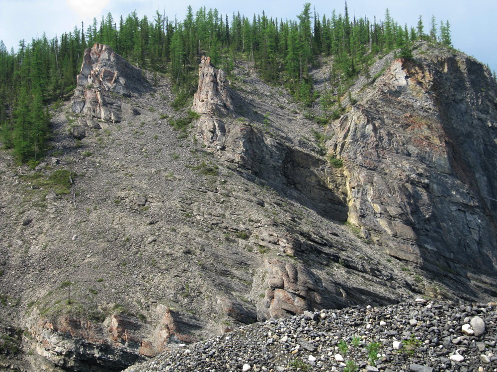 Кожим-переправа, image of landscape/habitat.