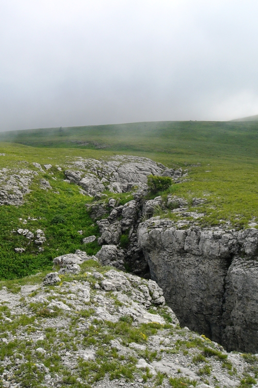 Гурзуфская яйла, image of landscape/habitat.