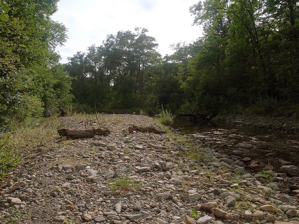 Кордон Америка, image of landscape/habitat.