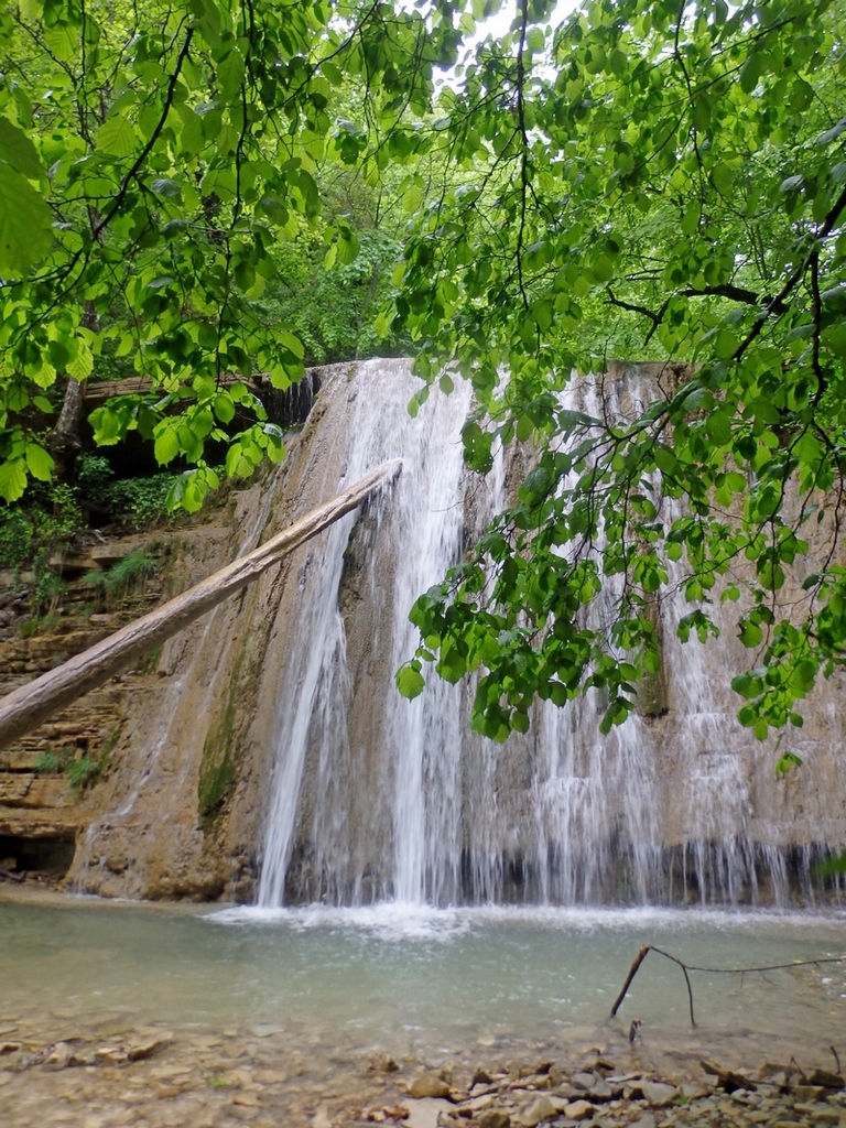 Плесецкая щель, image of landscape/habitat.