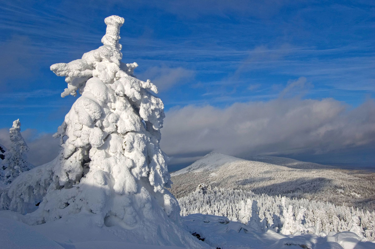 Хребет Уреньга, image of landscape/habitat.