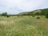 Окрестности села Дарваг, image of landscape/habitat.