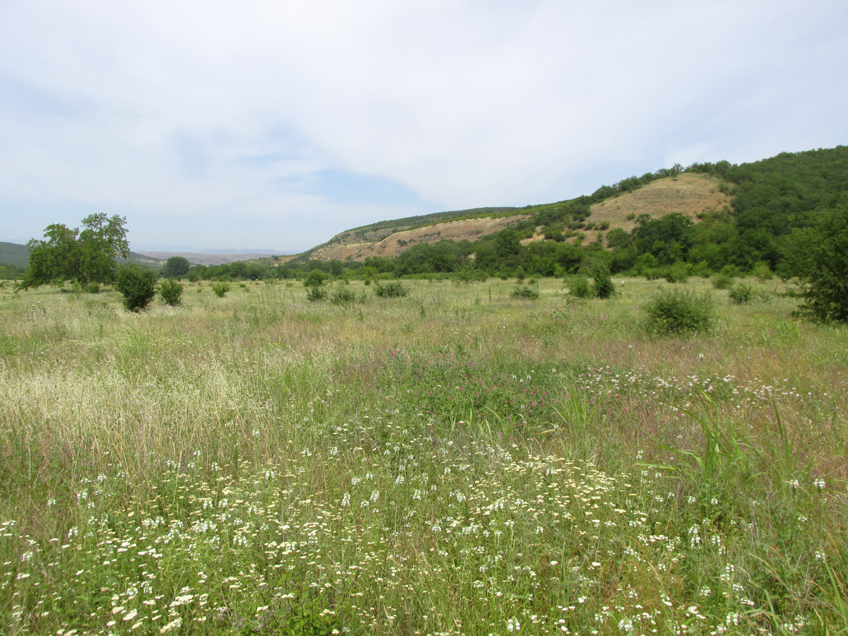 Окрестности села Дарваг, image of landscape/habitat.