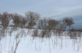 Image of landscape