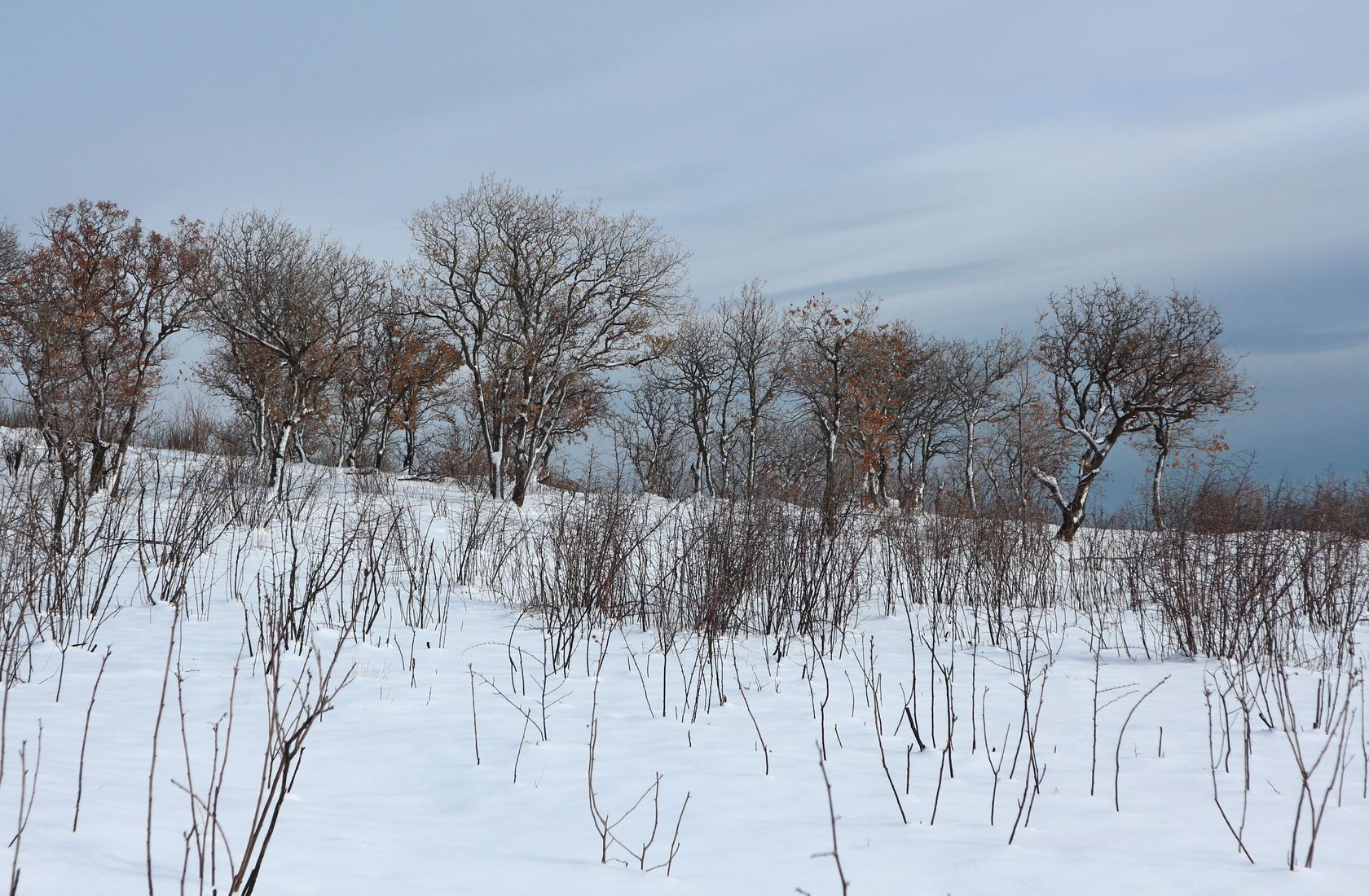 Гора Колдун, image of landscape/habitat.