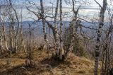 Image of landscape
