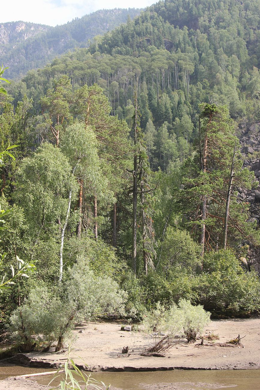 Окрестности водопада Учар, image of landscape/habitat.