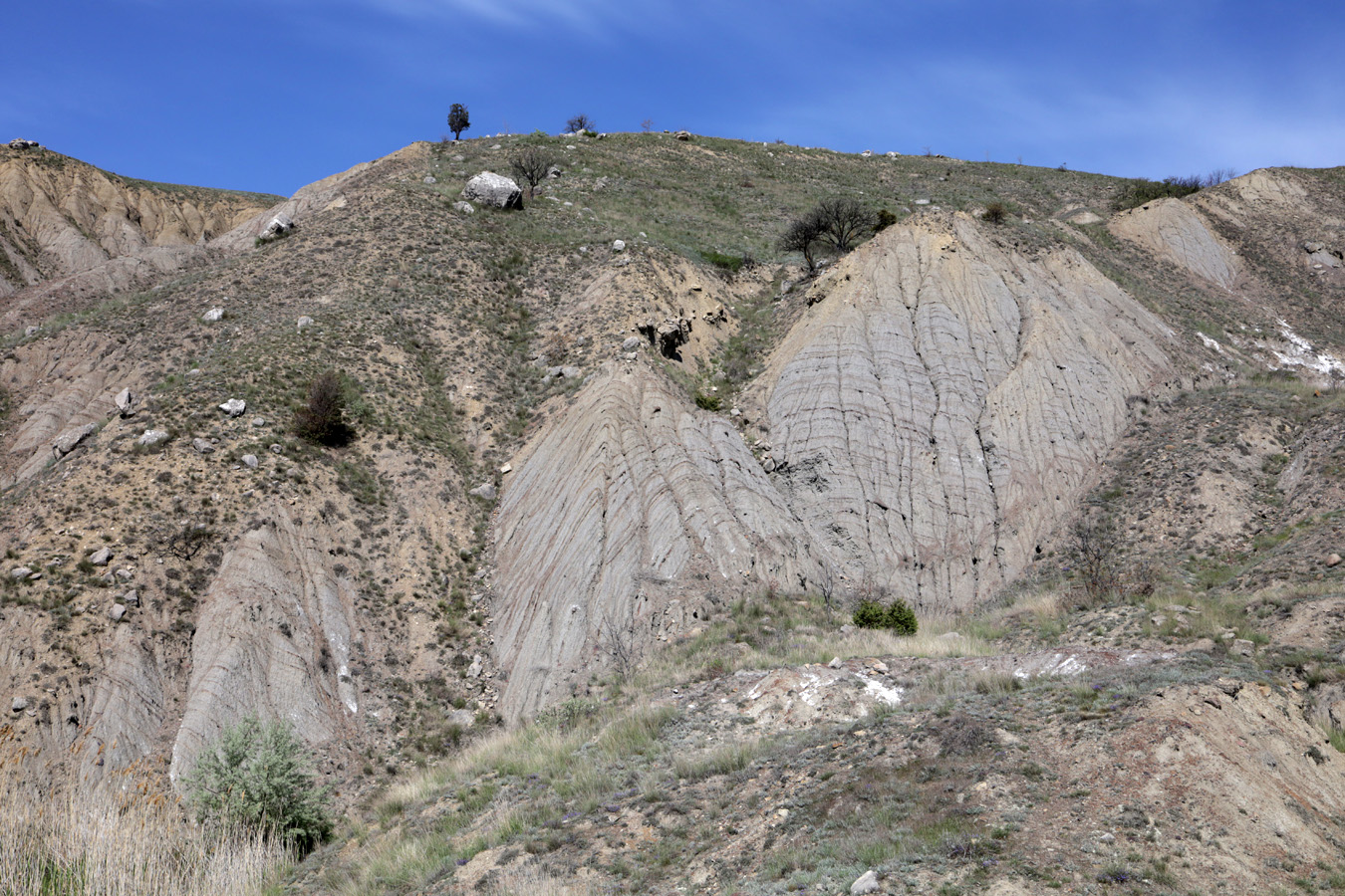 Лисья бухта, image of landscape/habitat.