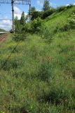Image of landscape