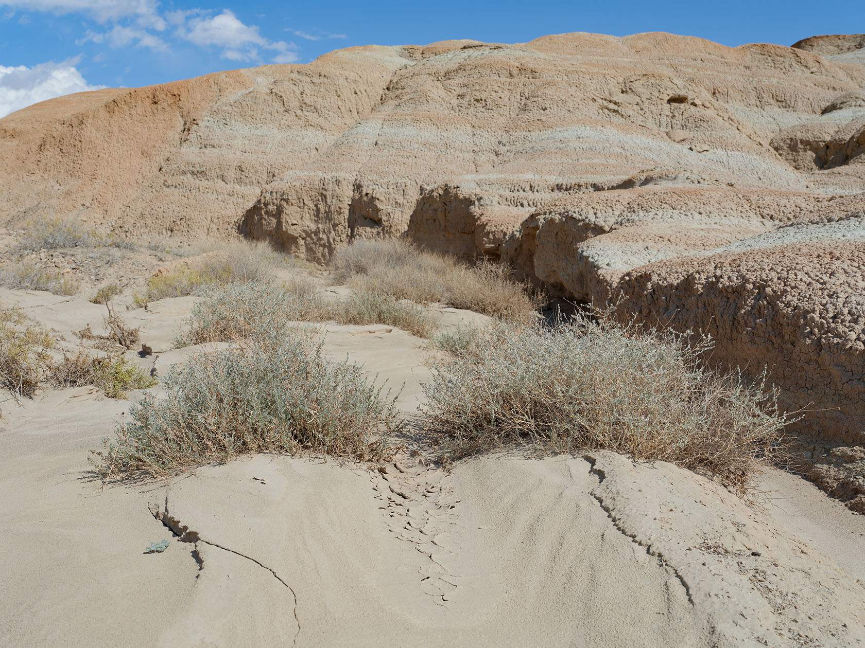 Горы Сырт, image of landscape/habitat.
