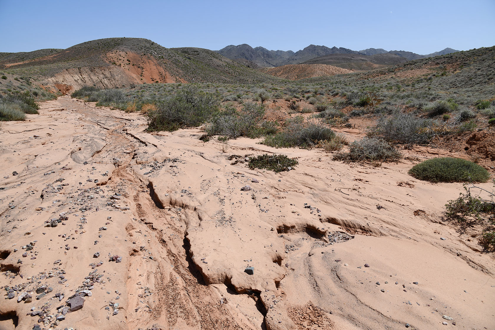 Бала-Богуты, image of landscape/habitat.