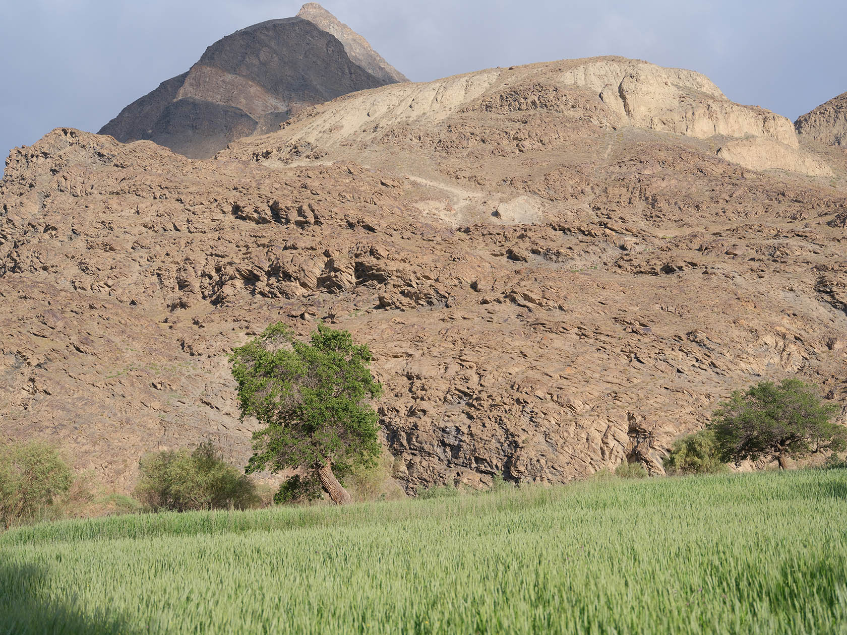 Барчадив, image of landscape/habitat.
