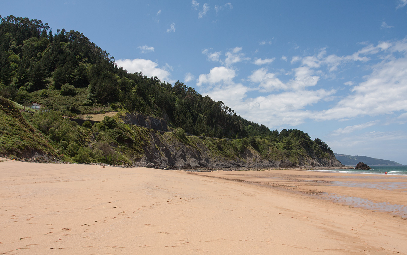 Лага, image of landscape/habitat.