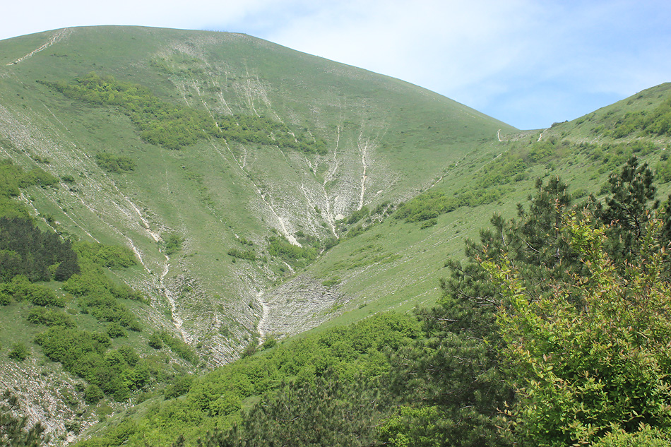 Гора Лысая-Новороссийская, image of landscape/habitat.