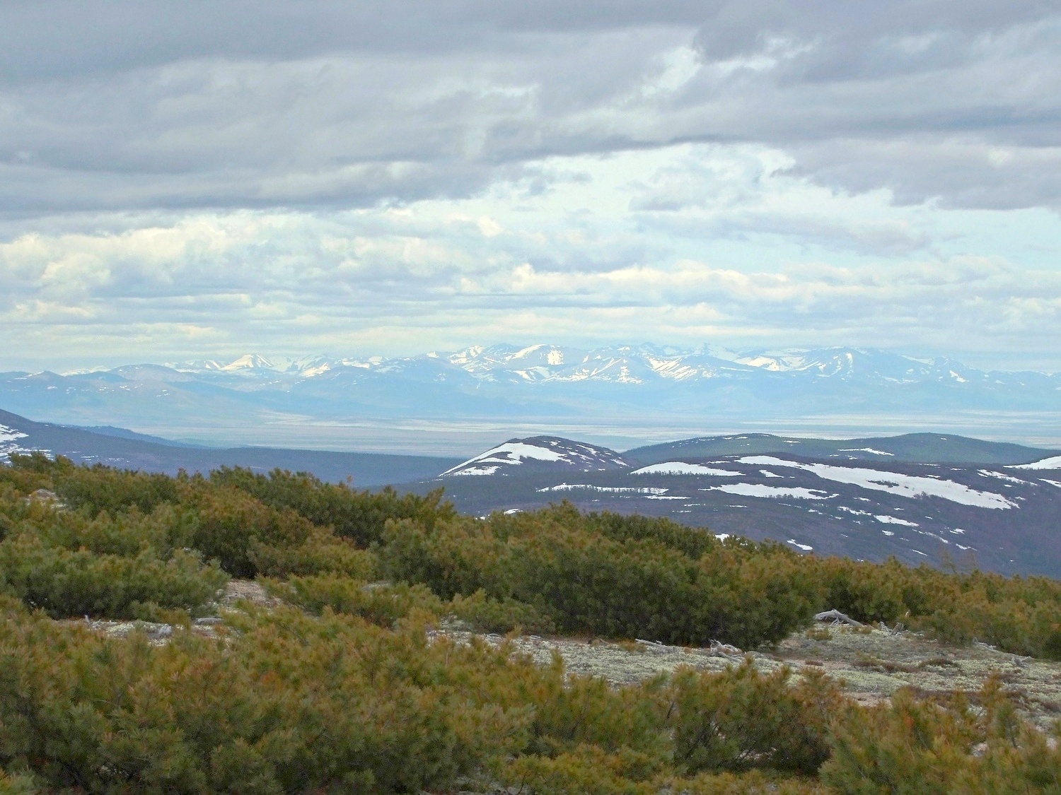 Водораздел Дукчи и Омчика, image of landscape/habitat.