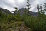 Image of landscape