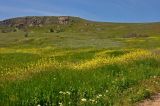 Image of landscape