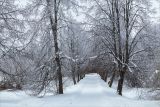 Парк "Сергиевка", изображение ландшафта.