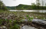 Янтышево и окрестности, image of landscape/habitat.