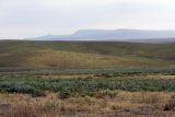 Image of landscape