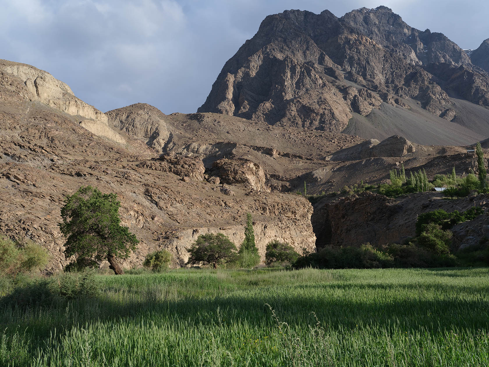 Барчадив, image of landscape/habitat.