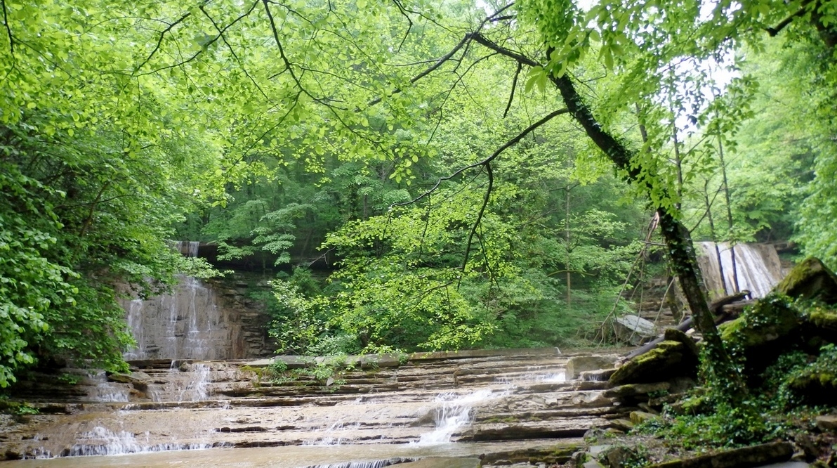 Плесецкая щель, image of landscape/habitat.