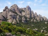 Image of landscape