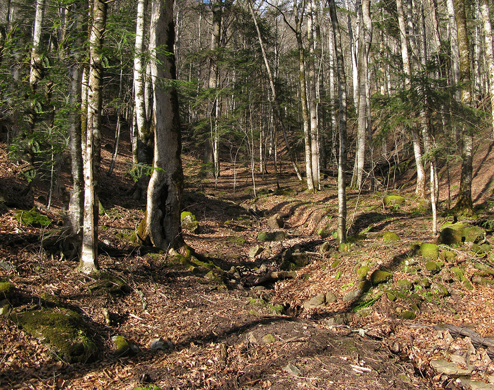 Чёрный Шахан, image of landscape/habitat.