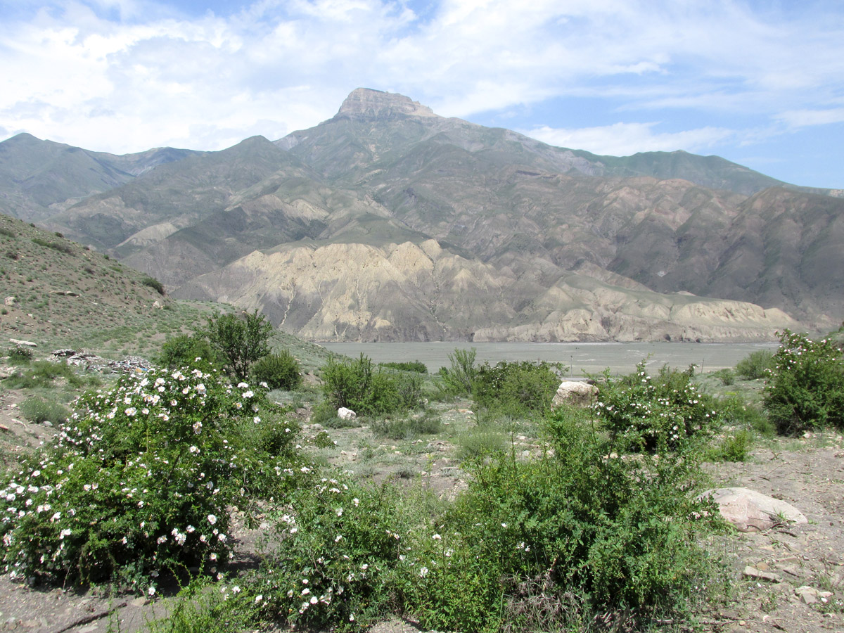 Окрестности села Мискинджа, image of landscape/habitat.