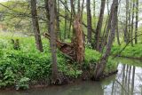 Дубна и окрестности, image of landscape/habitat.