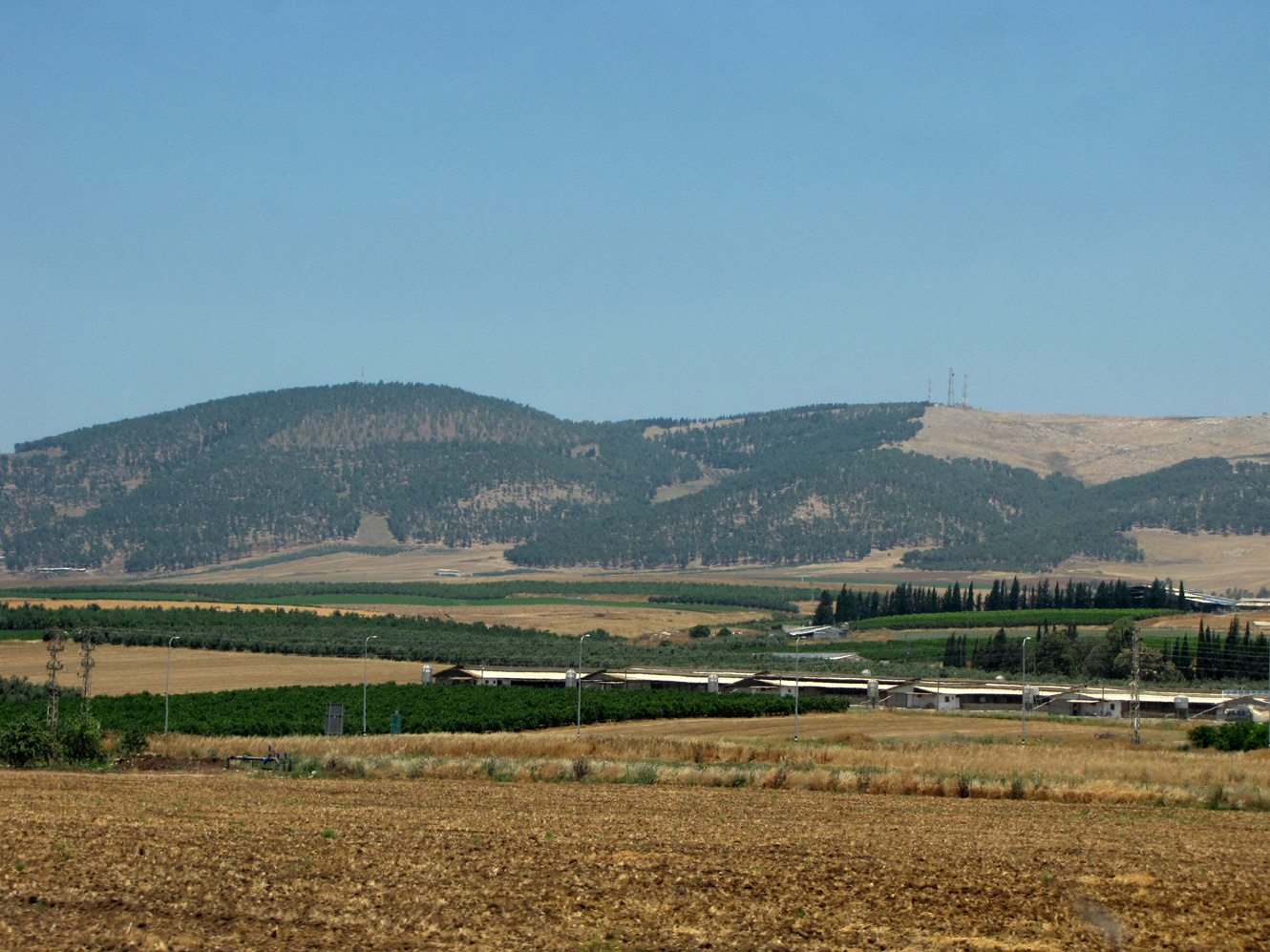 Горы Гильбоа, image of landscape/habitat.
