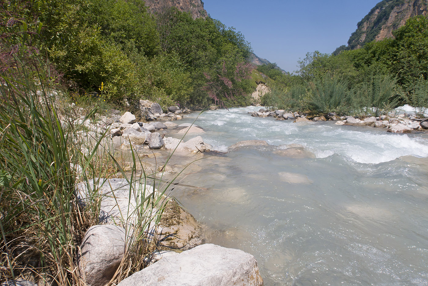 Хазнидон, image of landscape/habitat.