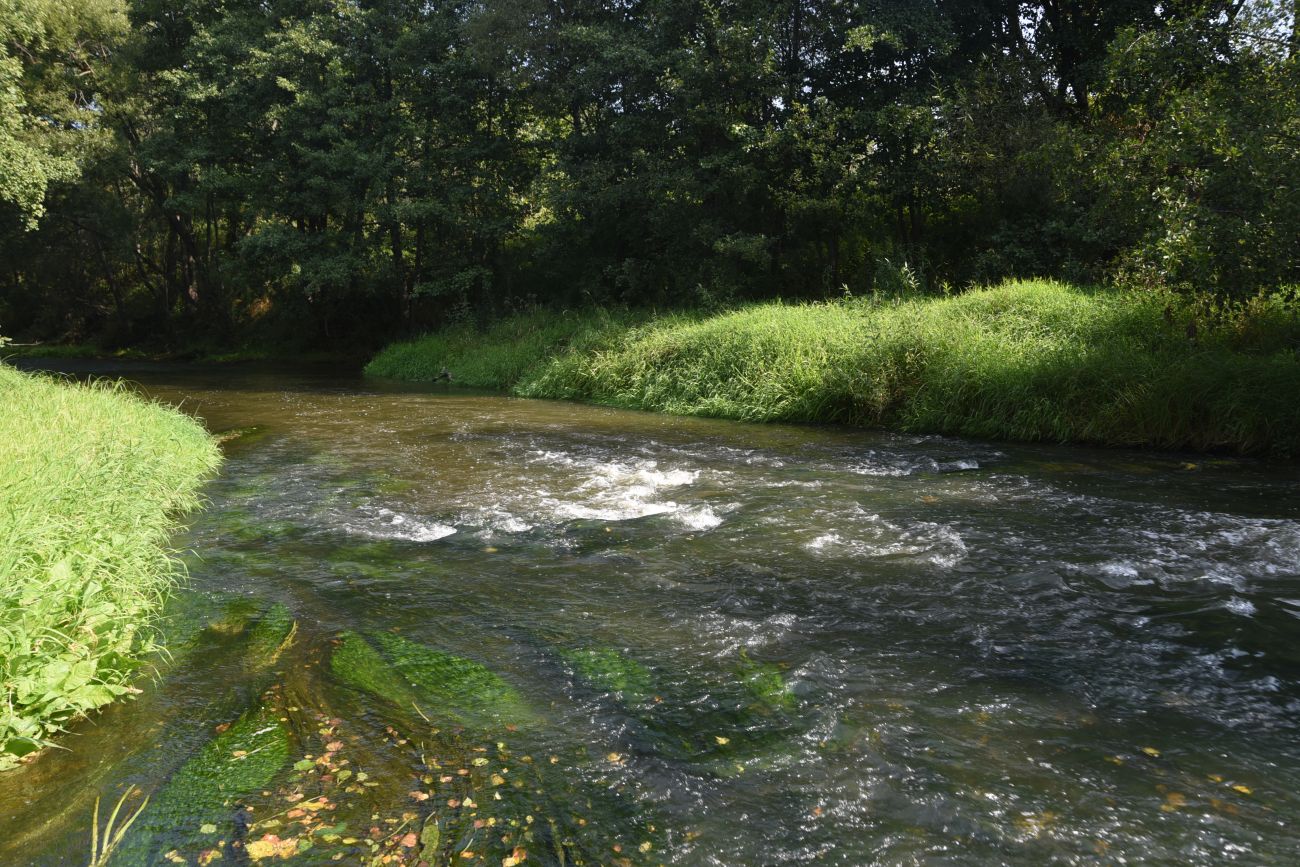 Брод Мелихово, image of landscape/habitat.