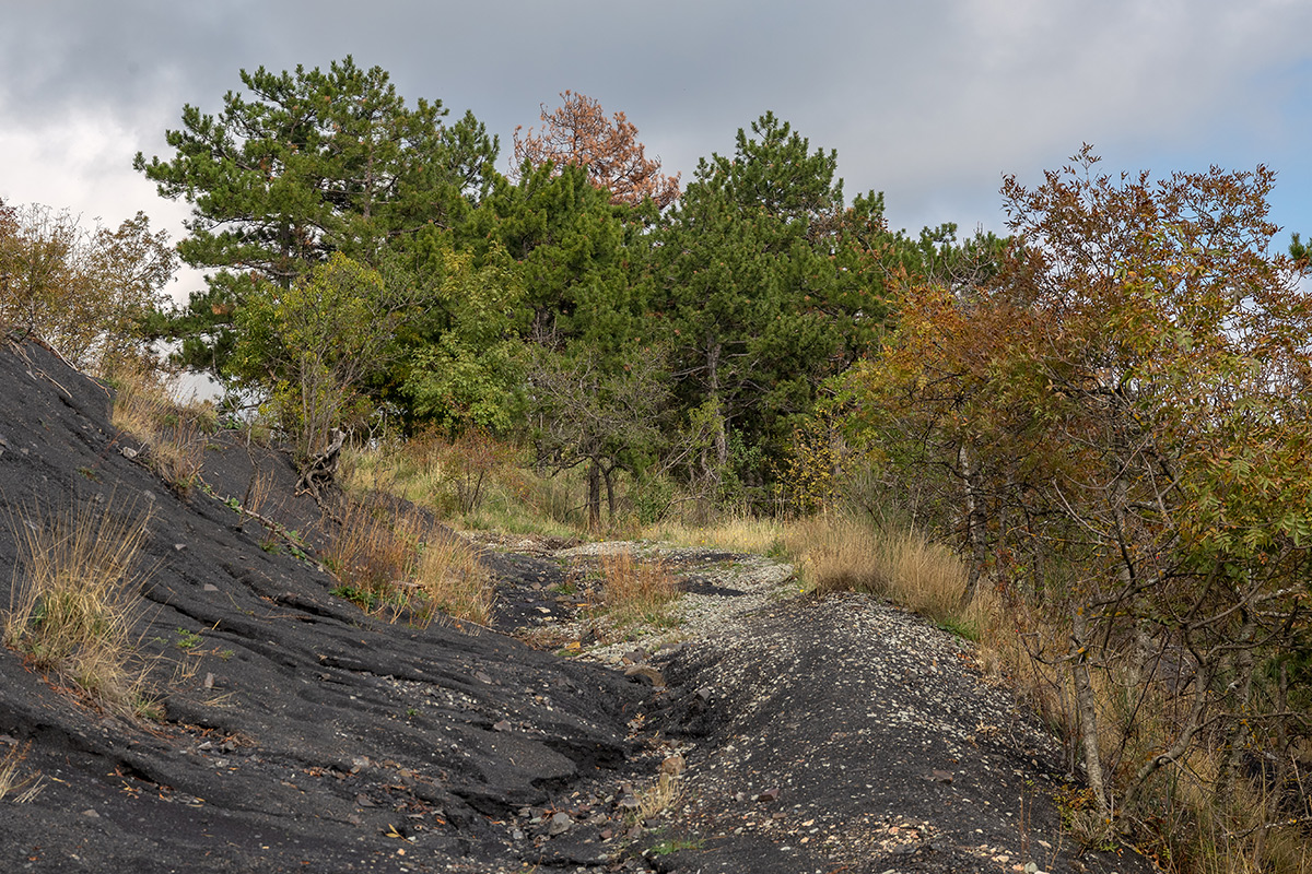 Партенит и окрестности, image of landscape/habitat.