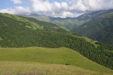 Лес между Хакмадой и Хочелдой, image of landscape/habitat.