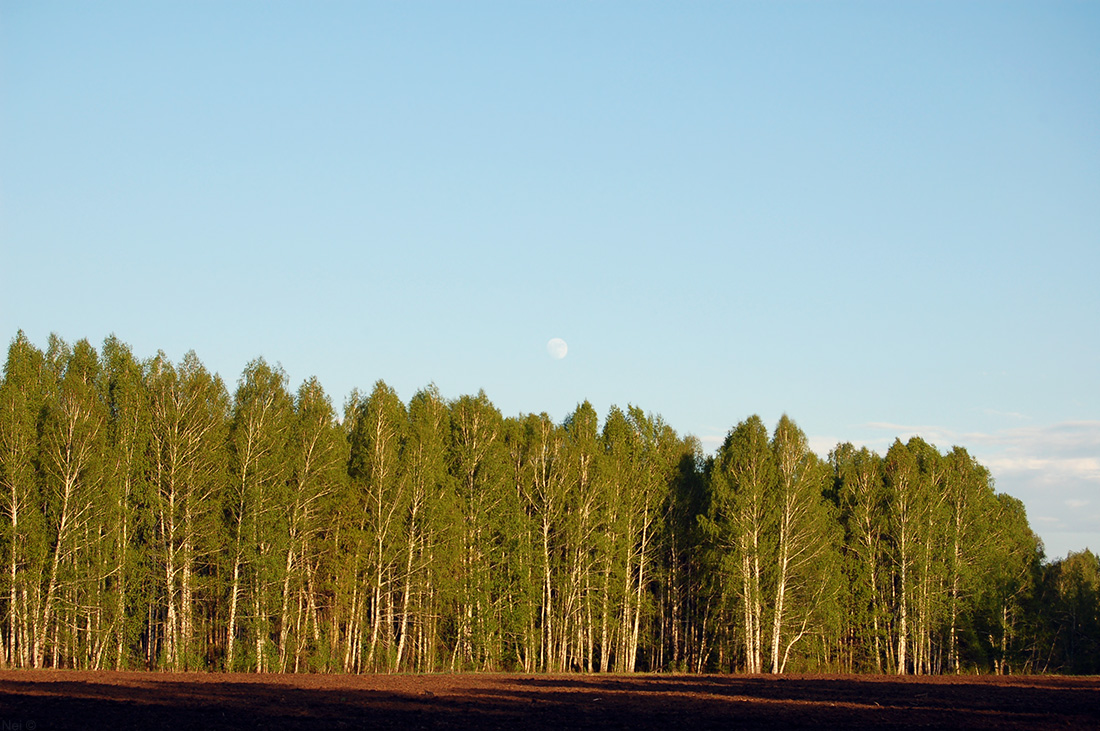 Согры Изылы, image of landscape/habitat.