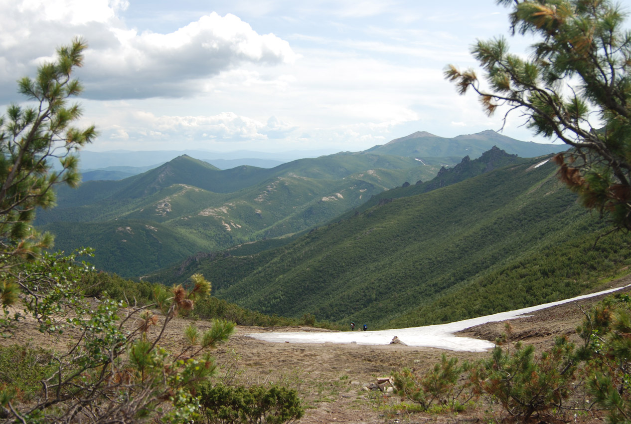 Перевал Снежный, image of landscape/habitat.