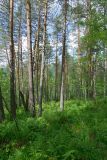 Image of landscape