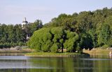 Царицыно, image of landscape/habitat.