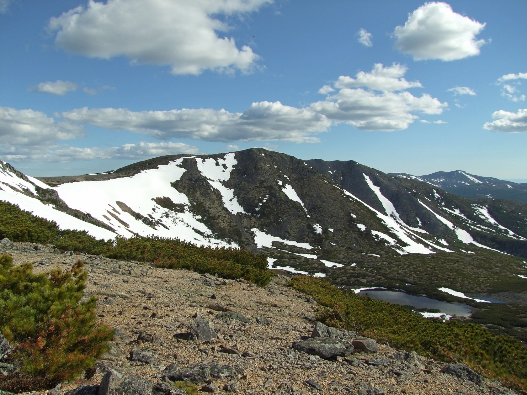 Водораздел Дукчи и Омчика, image of landscape/habitat.