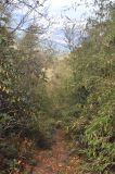 Image of landscape