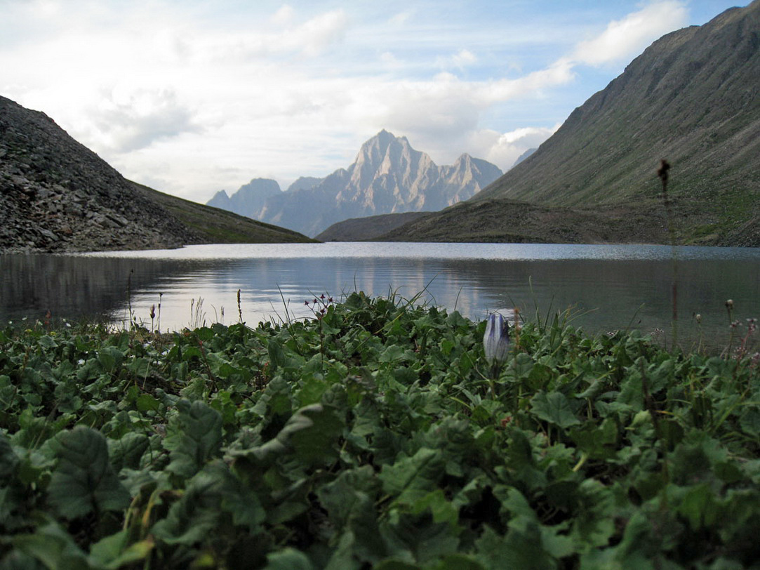 Хребет Кодар, image of landscape/habitat.